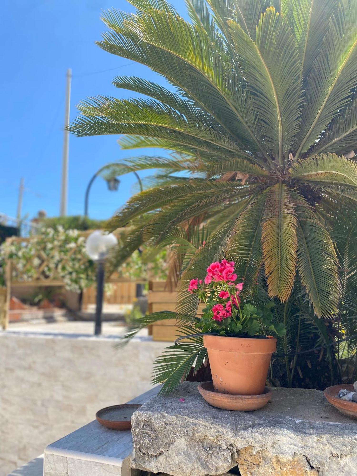 פונטנה ביאנקה Villetta Mare Di Sicilia מראה חיצוני תמונה